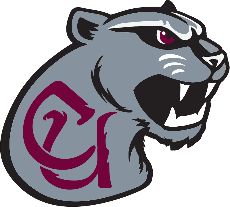 Concord Mountain Lions 