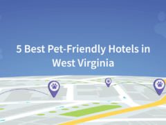 Pet-friendly hotels in West Virginia