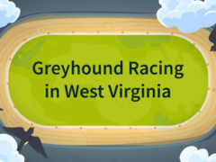 Greyhound Racing in West Virginia